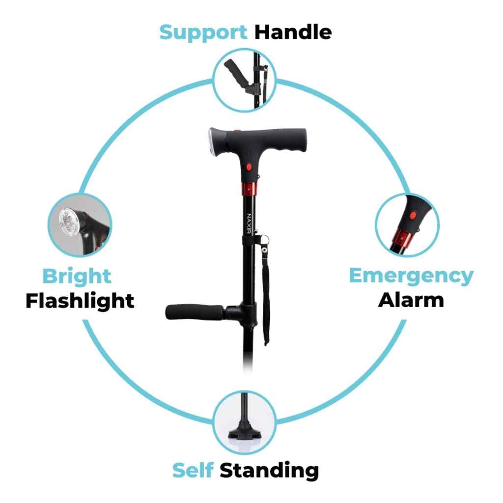 StandSecure Cane