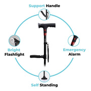 StandSecure Cane