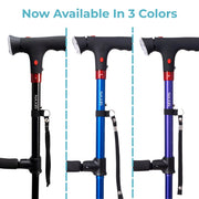 StandSecure Cane